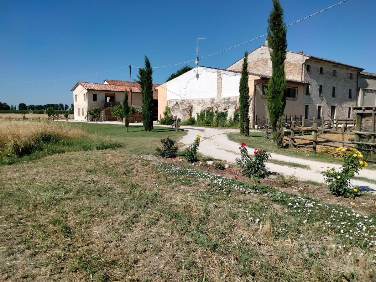 B&B Turistic 7 Castel Goffredo מראה חיצוני תמונה